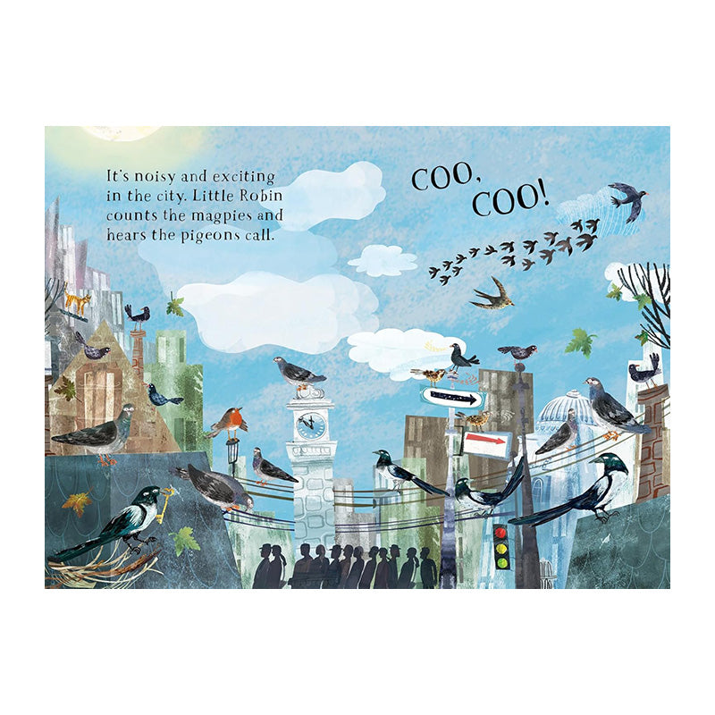 Little Robin's Book of Birds by Yuval Zommer