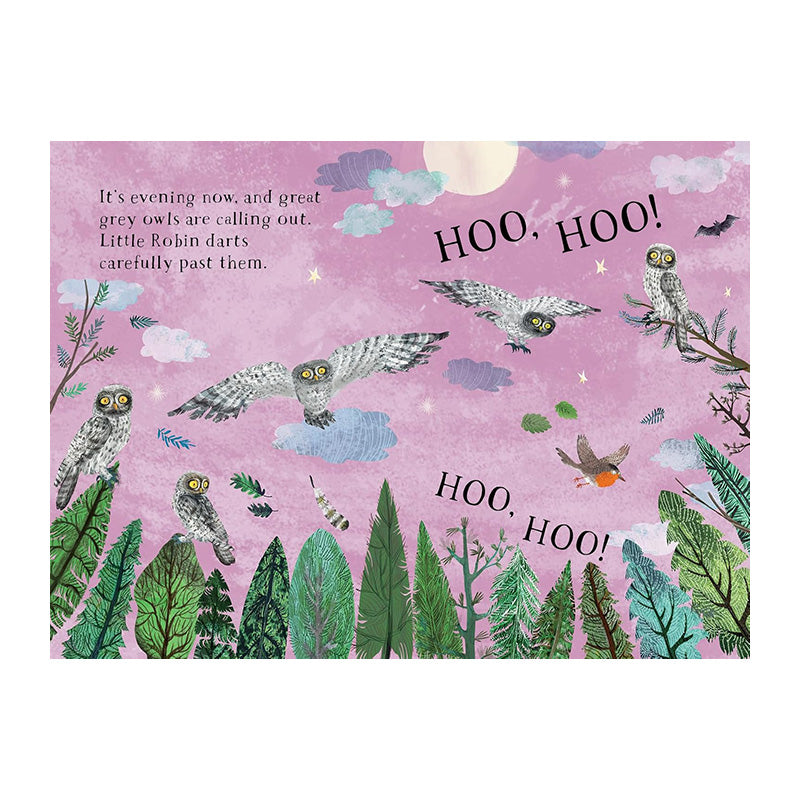 Little Robin's Book of Birds by Yuval Zommer