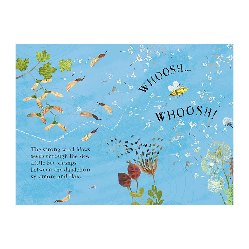 Little Bee's Book of Blooms by Yuval Zommer