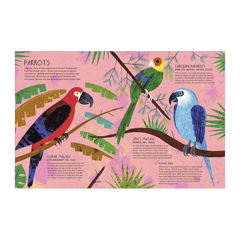 Danny Dodo's Detective Diary: Learn all about extinct and endangered animals by Rob Hodgson and Nick Crumpton