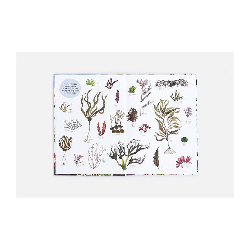 With a Little Kelp from Our Friends: The Secret Life of Seaweed: History, Culture and Environment by Mathew Bate