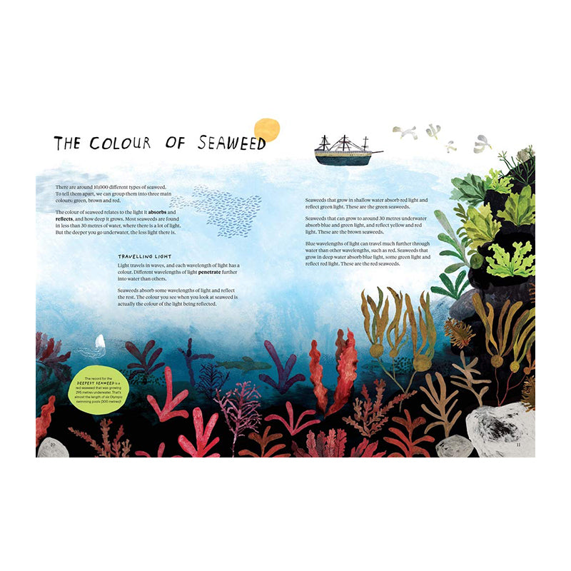 With a Little Kelp from Our Friends: The Secret Life of Seaweed: History, Culture and Environment by Mathew Bate