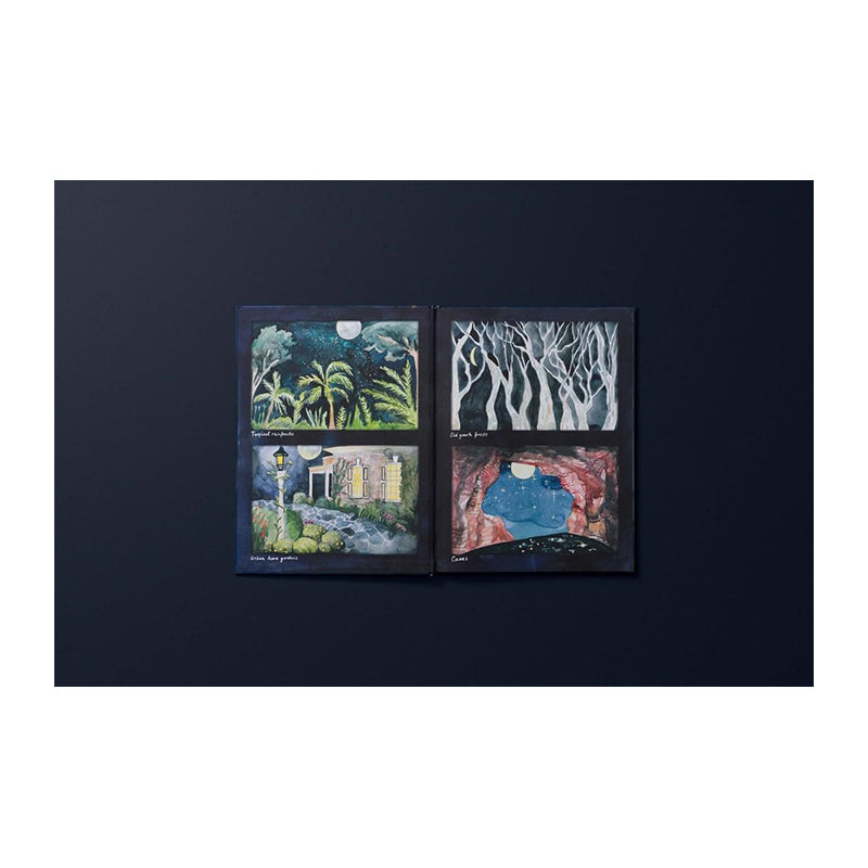 Wonders Under the Moon: A Collection of Night-time Creatures by Tai Snaith