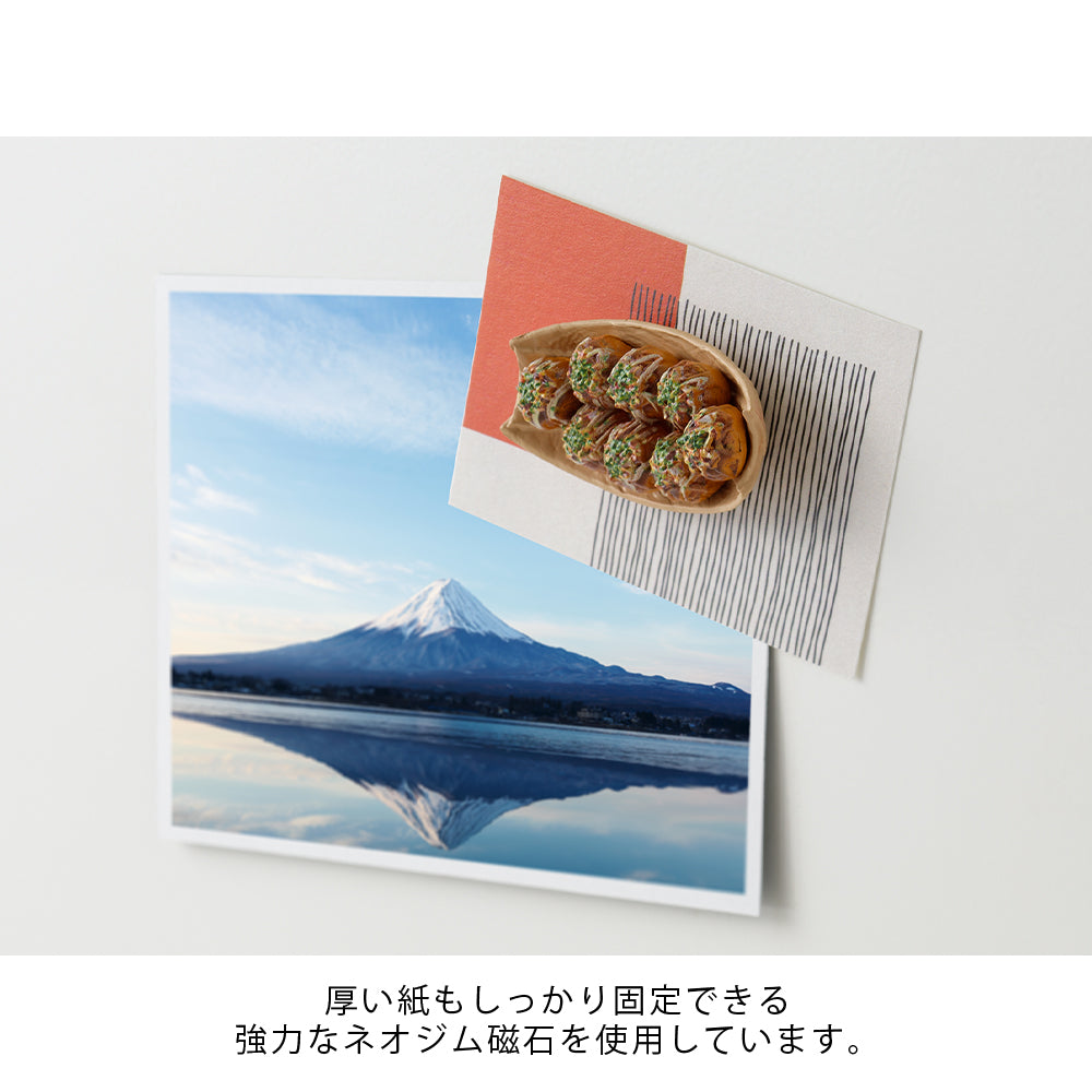 MIDORI Miniature Magnet Takoyaki