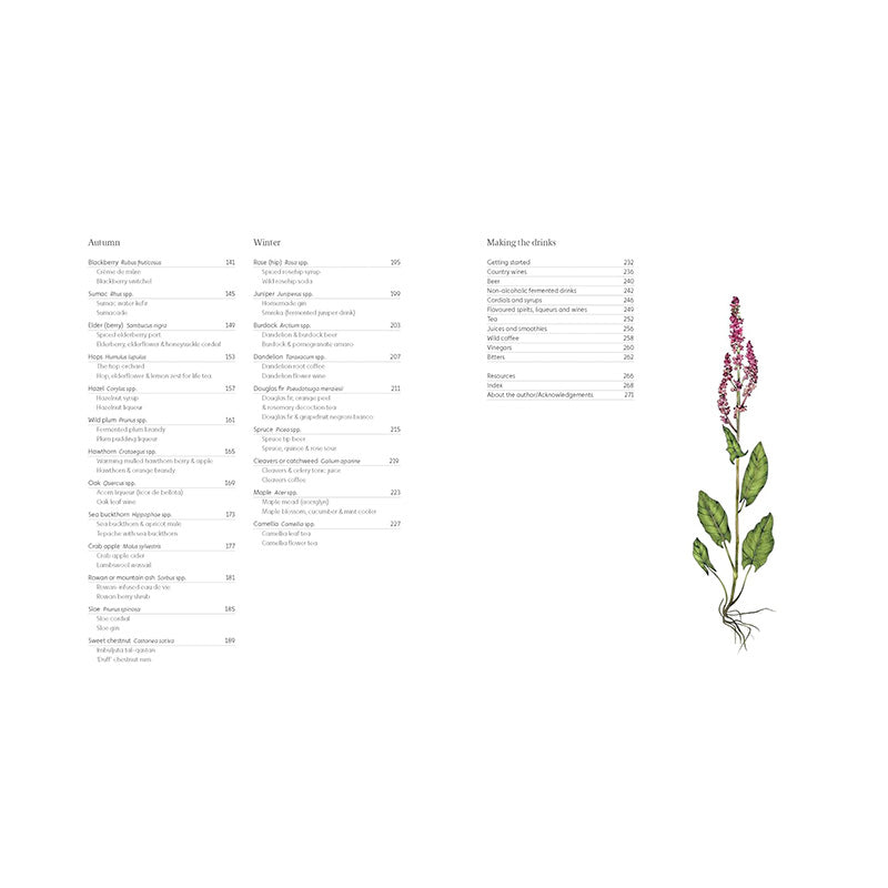 A Forager's Guide to Wild Drinks: Ferments, Infusions and Thirst-Quenchers For Every Season by Liz Knight