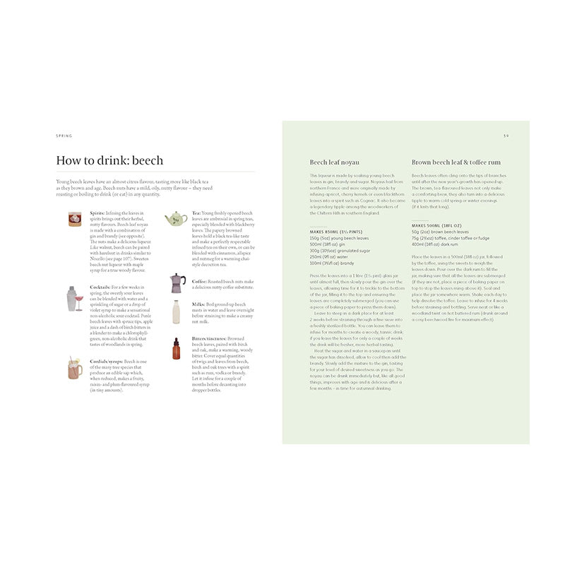 A Forager's Guide to Wild Drinks: Ferments, Infusions and Thirst-Quenchers For Every Season by Liz Knight