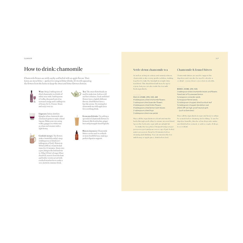 A Forager's Guide to Wild Drinks: Ferments, Infusions and Thirst-Quenchers For Every Season by Liz Knight