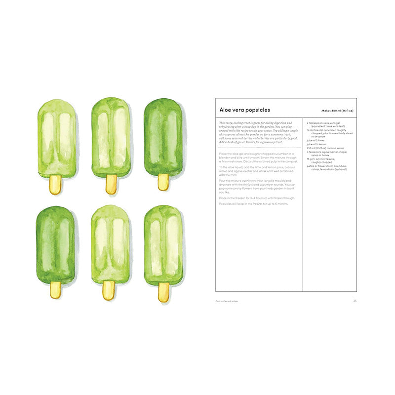 The Medicinal Garden: Treat, Feed and Soothe Straight From Your Garden by Caroline Parker, Illustrated By Lucy Mora