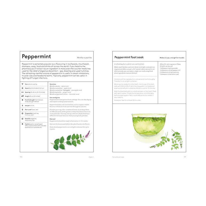 The Medicinal Garden: Treat, Feed and Soothe Straight From Your Garden by Caroline Parker, Illustrated By Lucy Mora