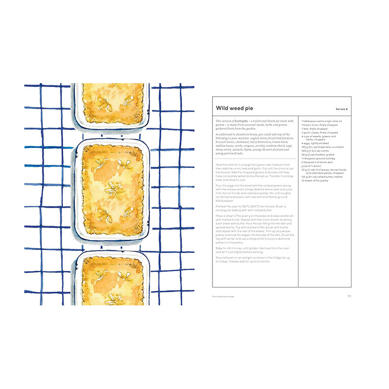 The Medicinal Garden: Treat, Feed and Soothe Straight From Your Garden by Caroline Parker, Illustrated By Lucy Mora
