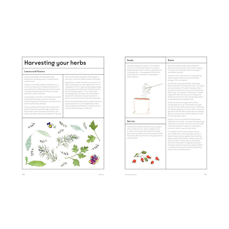 The Medicinal Garden: Treat, Feed and Soothe Straight From Your Garden by Caroline Parker, Illustrated By Lucy Mora