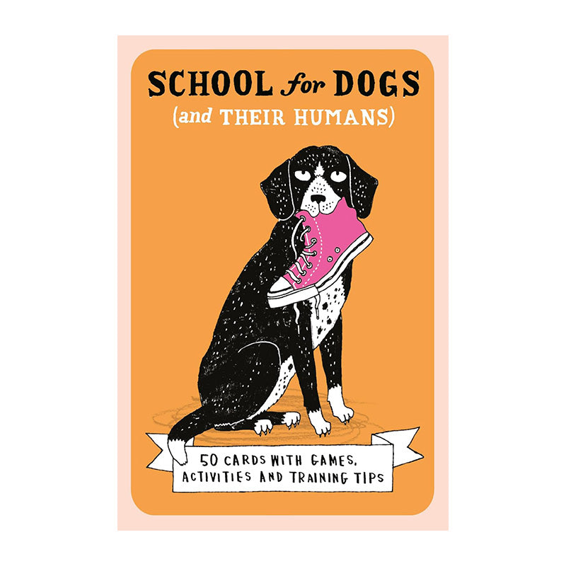 School For Dogs (And Their Humans)