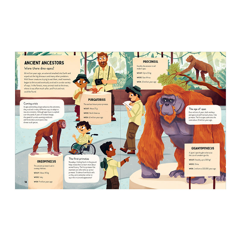 Do Gorillas Eat Bananas? by Huw Lewis Jones and Sam Caldwell