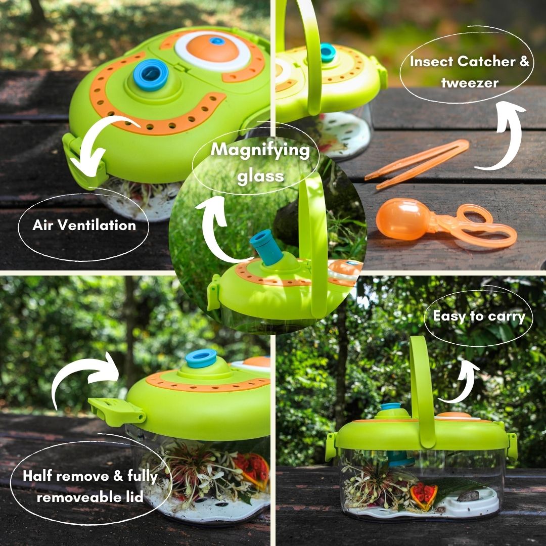 MAE Multifunctional Explorer Box