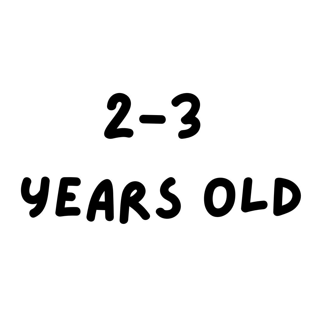 MAE The Green Adventure Box 2 to 3 Years Old