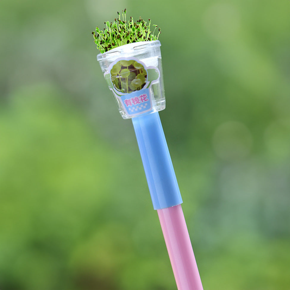 MORN SHINE Mini Plant Pen Lucky Money Bloom