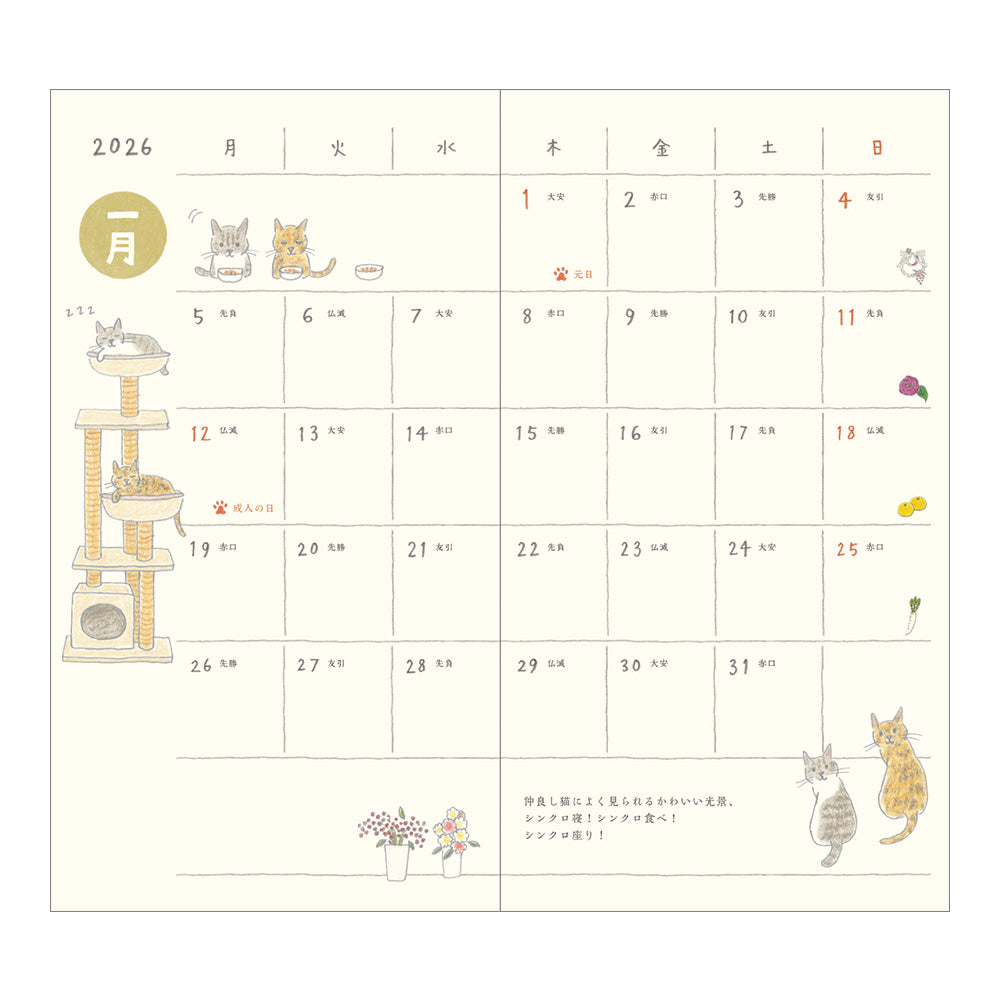 MIDORI 2026 Pocket Diary Slim Cat