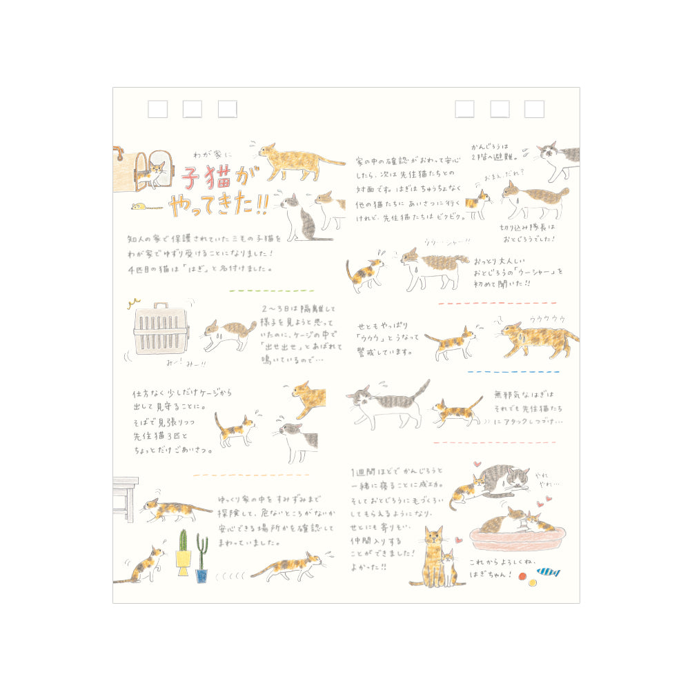 MIDORI 2026 Calendar Ring S Cat