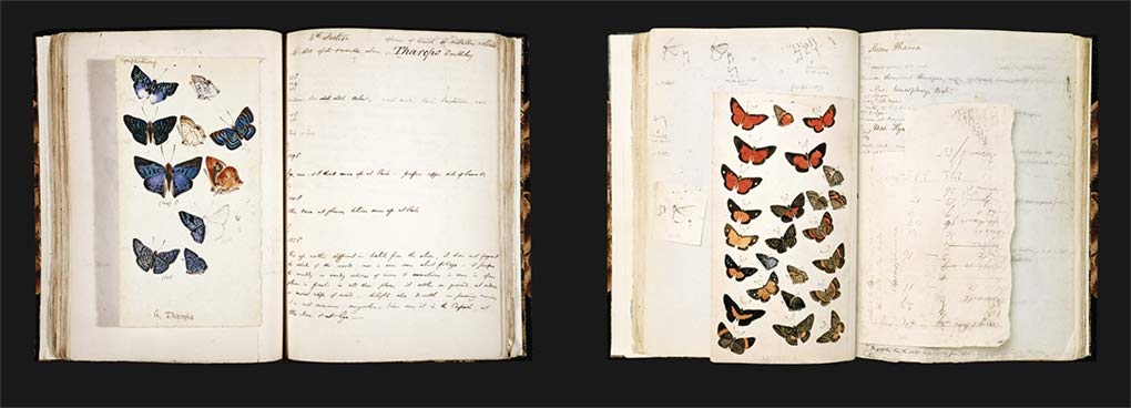 Explorers' Sketchbooks: The Art of Discovery & Adventure by Huw Lewis-Jones & Kari Herbert