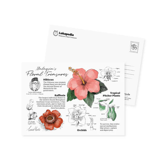 LOKAMADE Lokapedia Postcard Set MSPS11: Series 8 in 1
