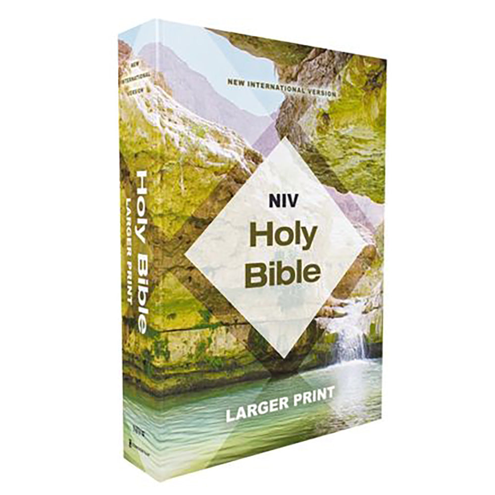 NIV - Holy Bible, Larger Print, Economy Edition, Teal/Tan, Paperback