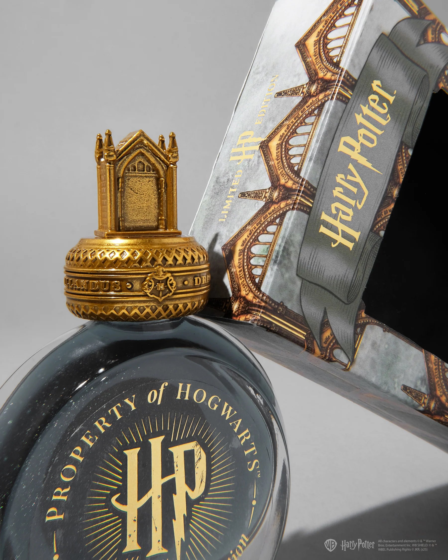 FERRIS WHEEL PRESS x Harry Potter Fountain Pen Ink 38ml The Mirror of Erised