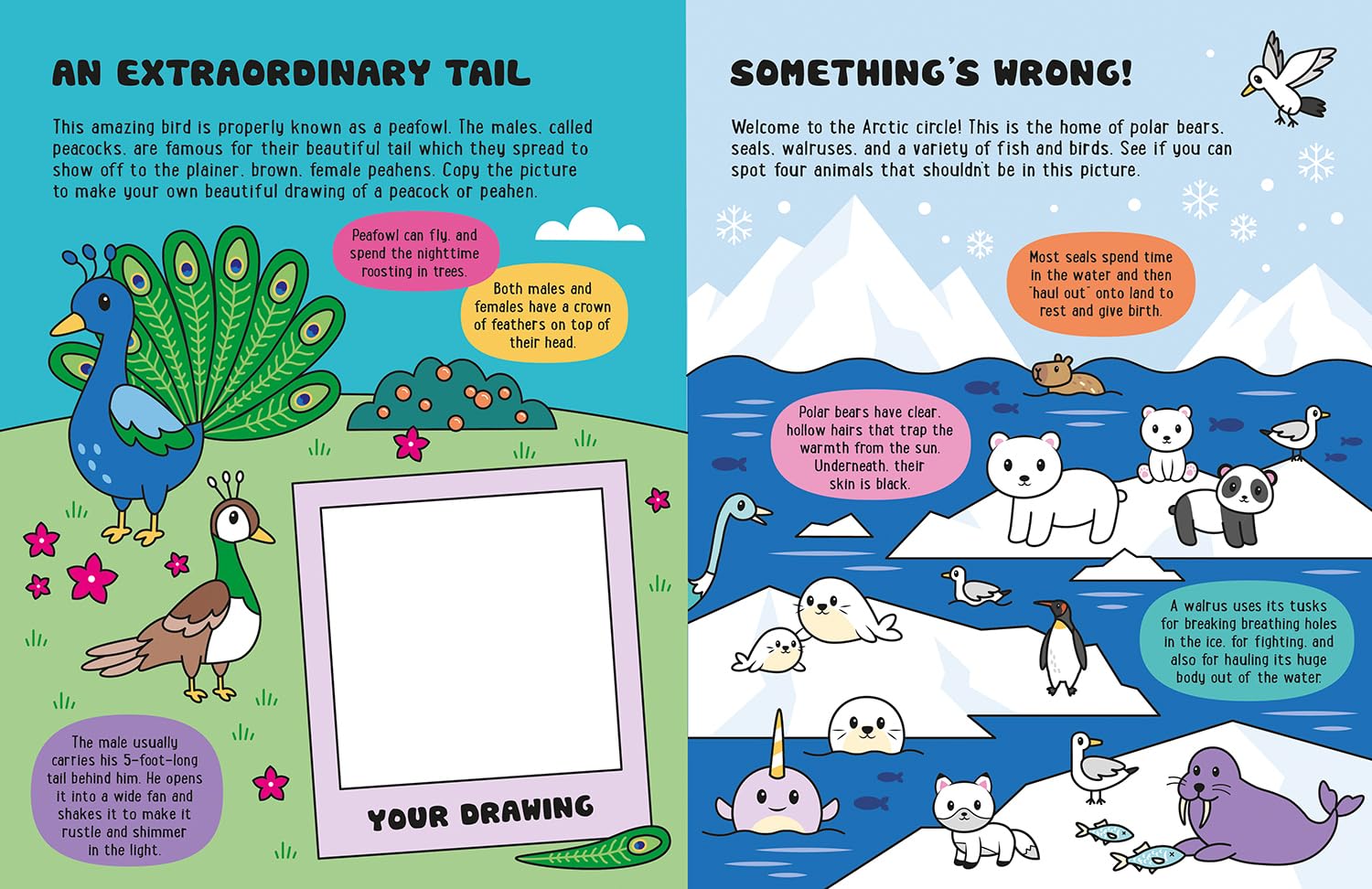 Glow-in-the-Dark Animals Sticker Activity Book by Lisa Regan