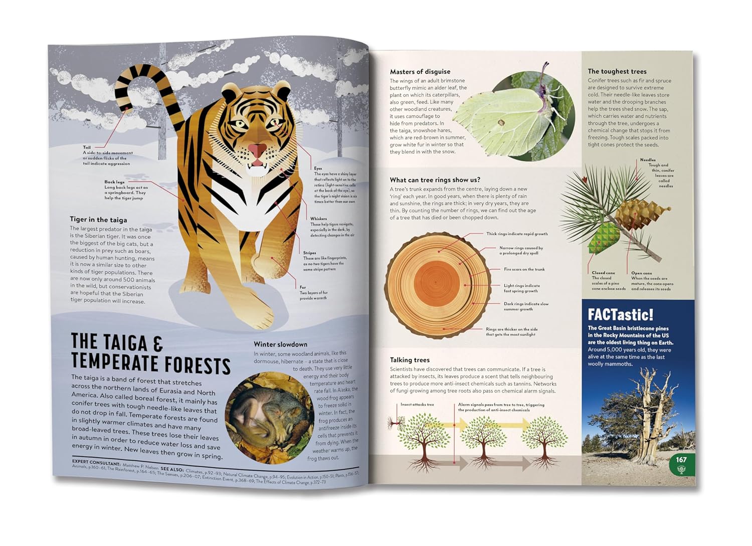 Britannica All New Children's Encyclopedia (Updated Edition) by Christopher Lloyd