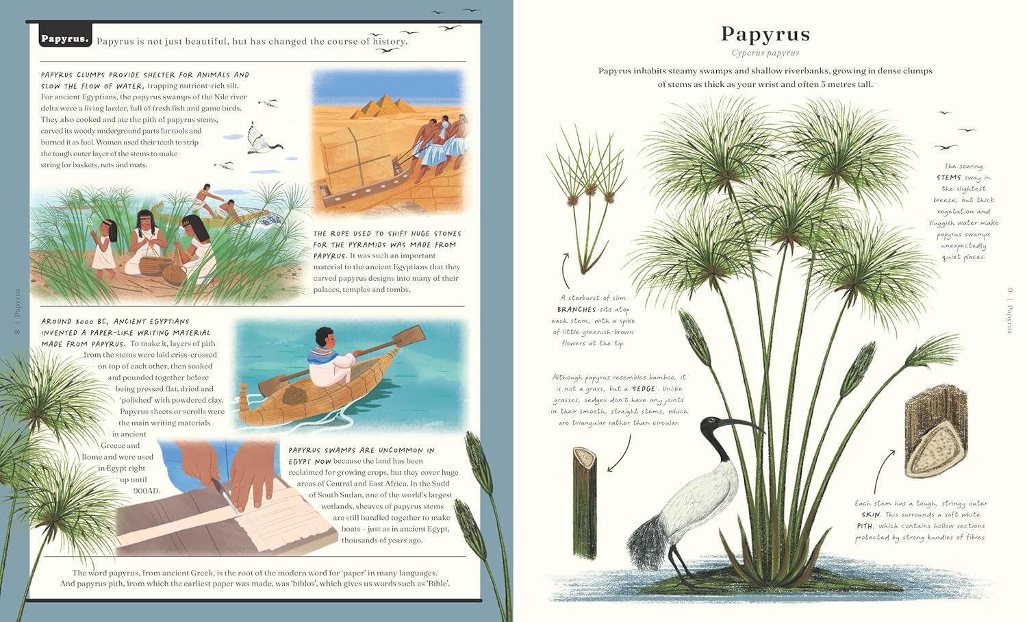 The Stuff that Stuff is Made of by Drori Jonathan