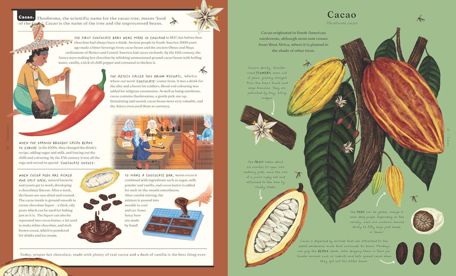 The Stuff that Stuff is Made of by Drori Jonathan