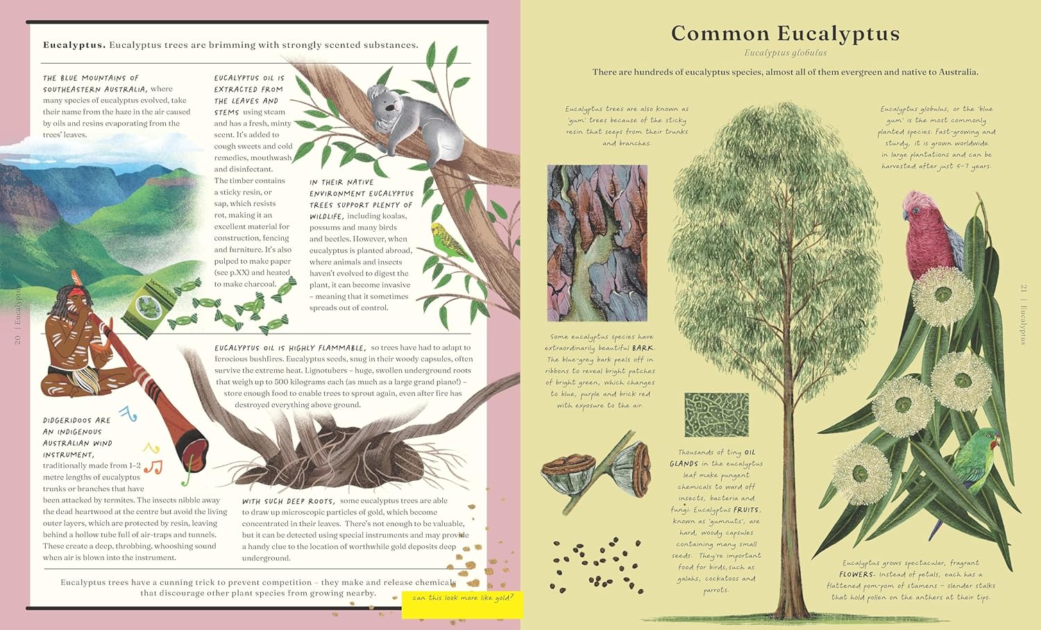 The Stuff that Stuff is Made of by Drori Jonathan