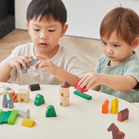 PLAN TOYS Country Blocks