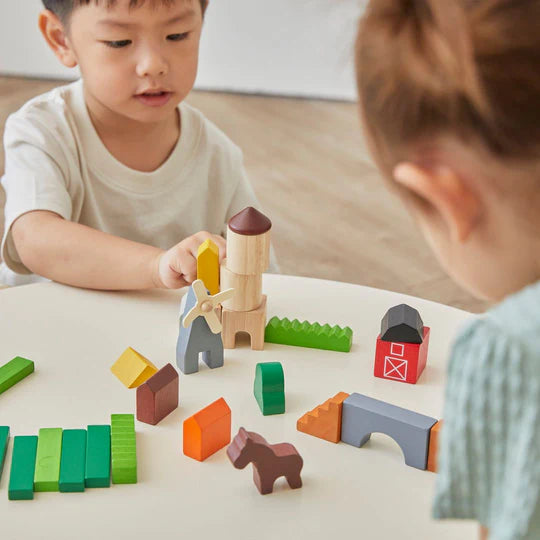 PLAN TOYS Country Blocks