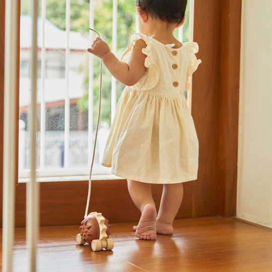 PLAN TOYS Pull-Along Hedgehog Brown