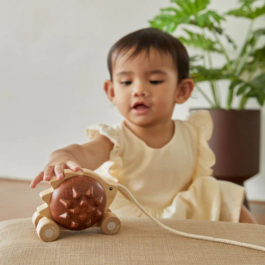 PLAN TOYS Pull-Along Hedgehog Brown