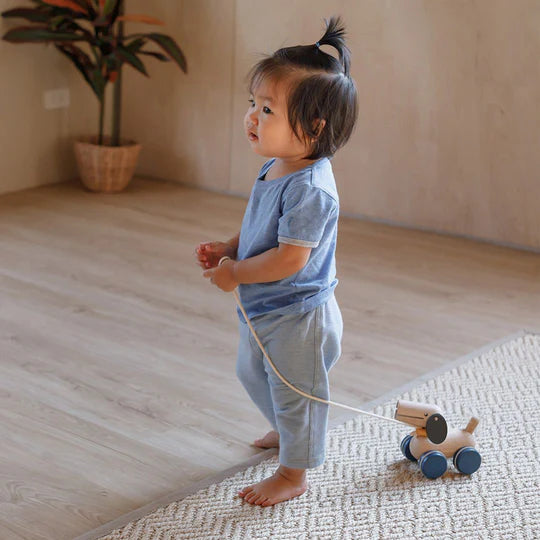 PLAN TOYS Push & Pull Puppy
