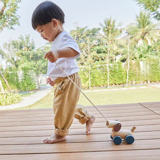 PLAN TOYS Push & Pull Puppy