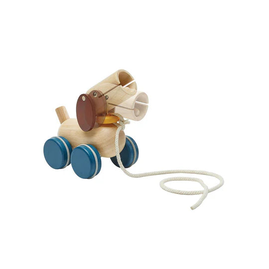 PLAN TOYS Push & Pull Puppy