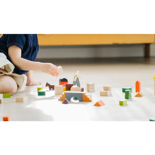 PLAN TOYS Countryside Blocks