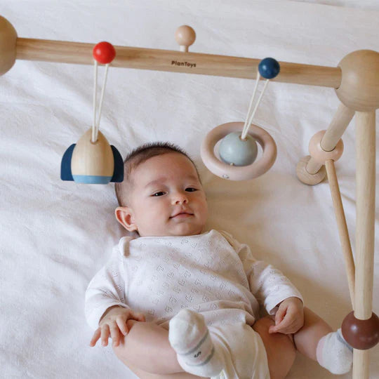 PLAN TOYS Play Gym Orchard