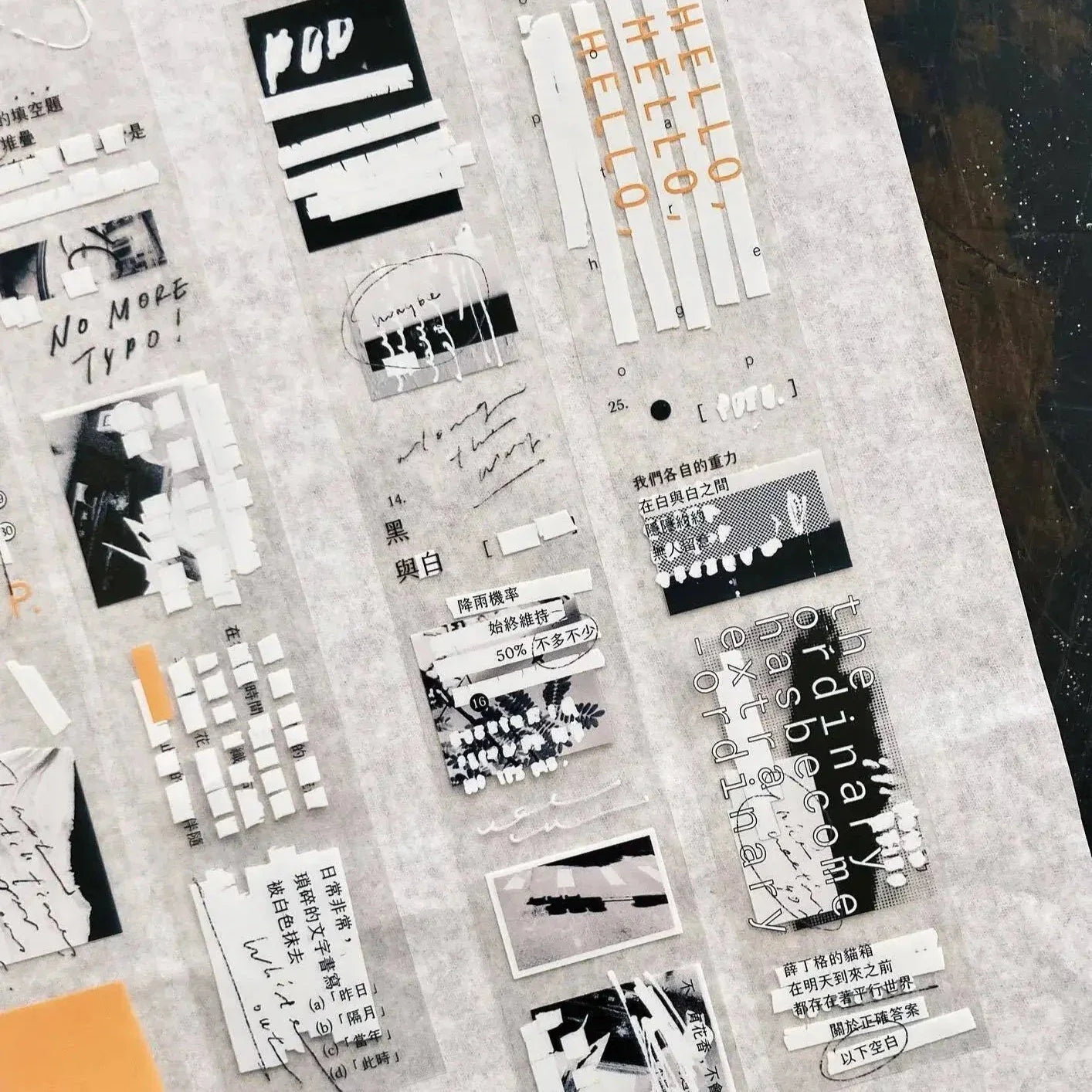 SOMESORTOF.FERN PET Tape | Correction Tape Full Roll (10m)