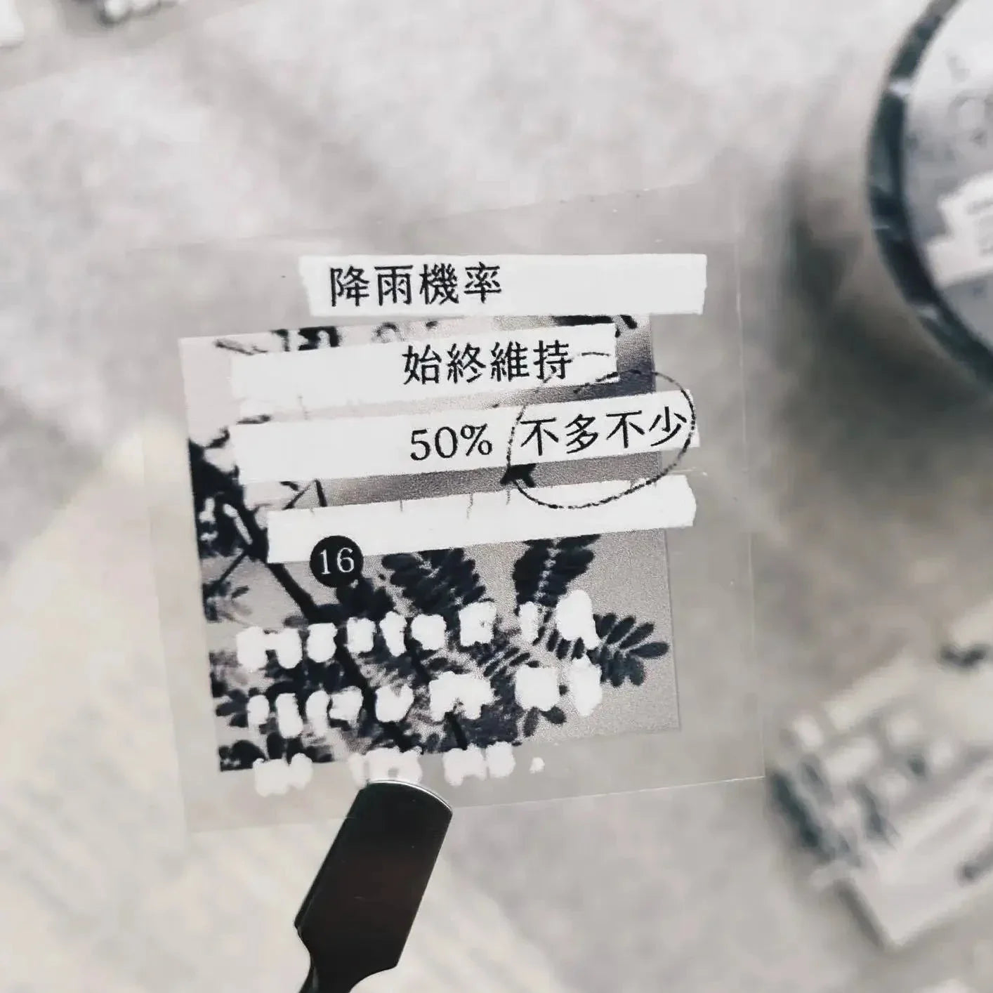 SOMESORTOF.FERN PET Tape | Correction Tape Full Roll (10m)