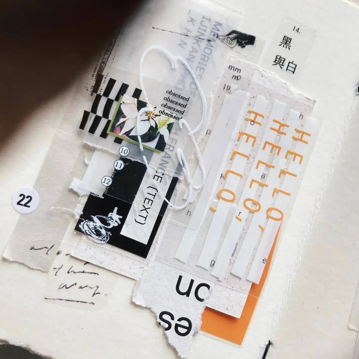 SOMESORTOF.FERN PET Tape | Correction Tape Full Roll (10m)