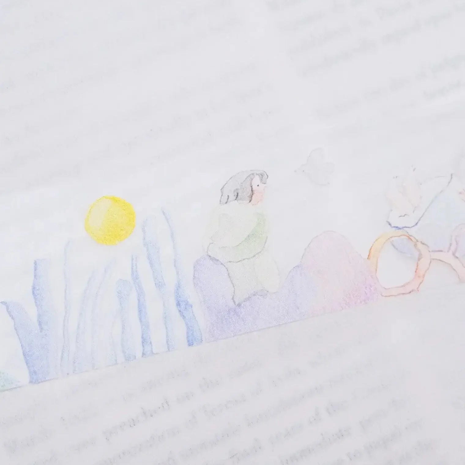 DODOLULU PET Tape | Wonderland Full Roll (10m)