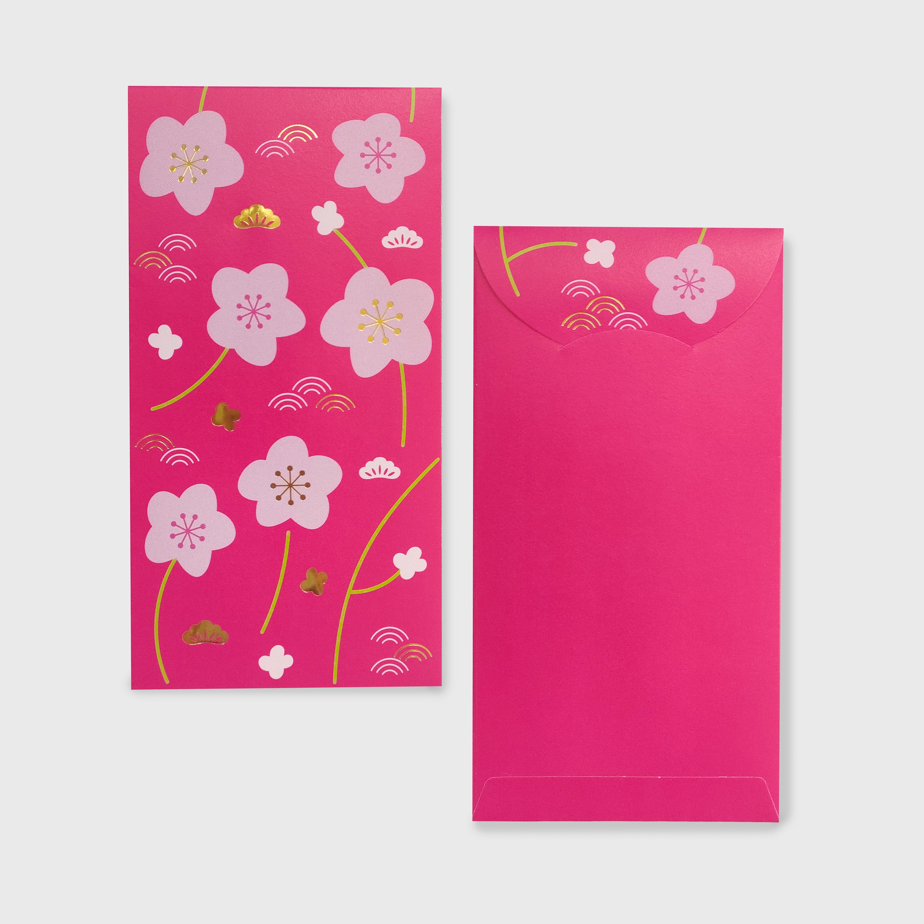 PAPER AND PRINT 2026 Red Packet 10s Pink Florals