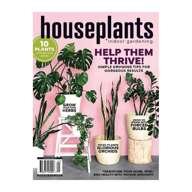 Houseplants + Indoor Graden