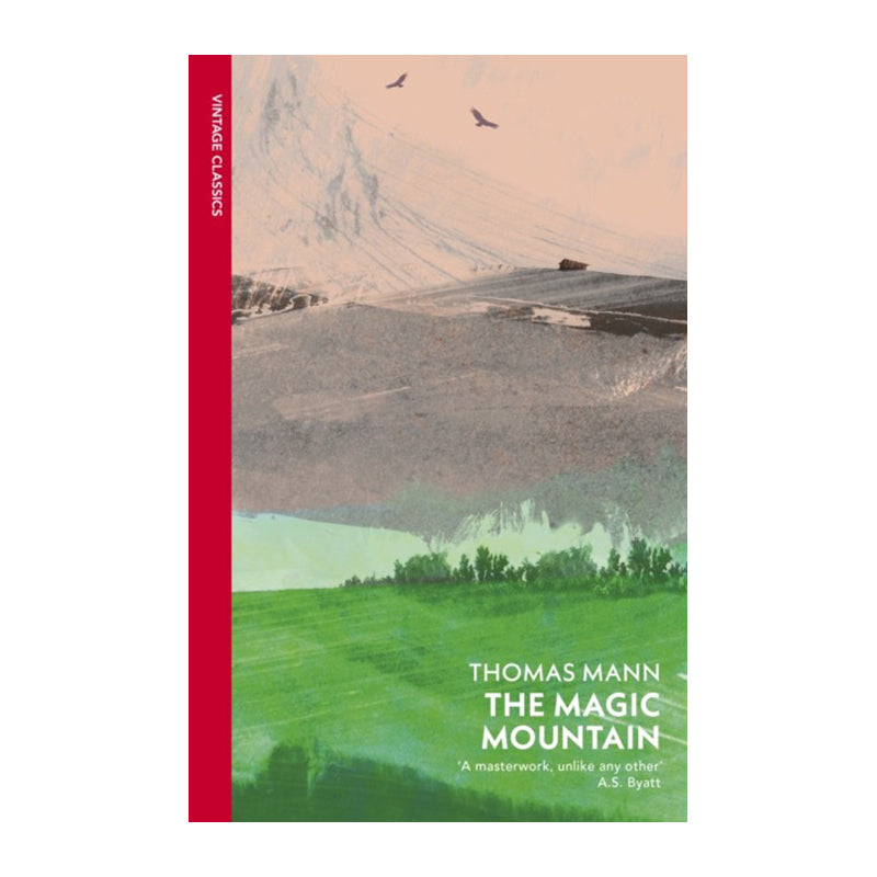 The Magic Mountain by Thomas Mann