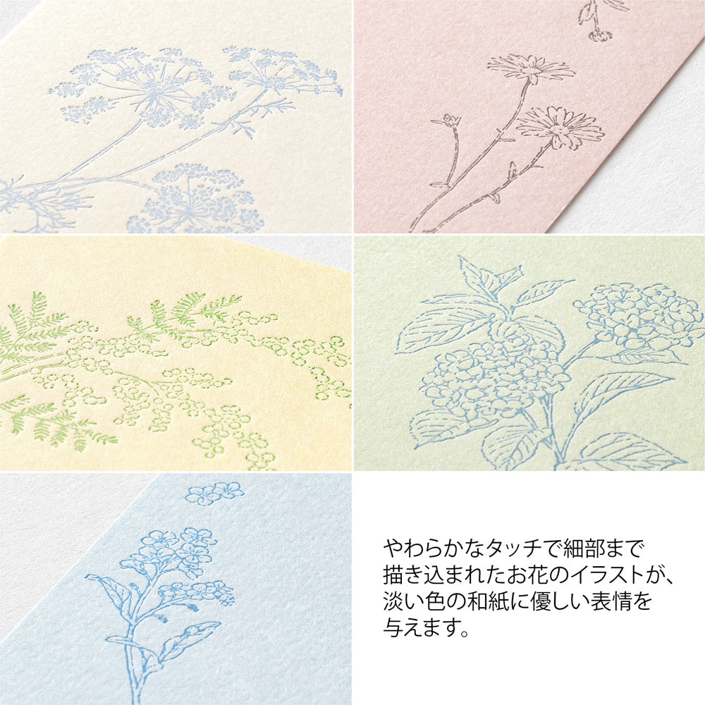 MIDORI Postcard Set of 5 Hanairo Washi