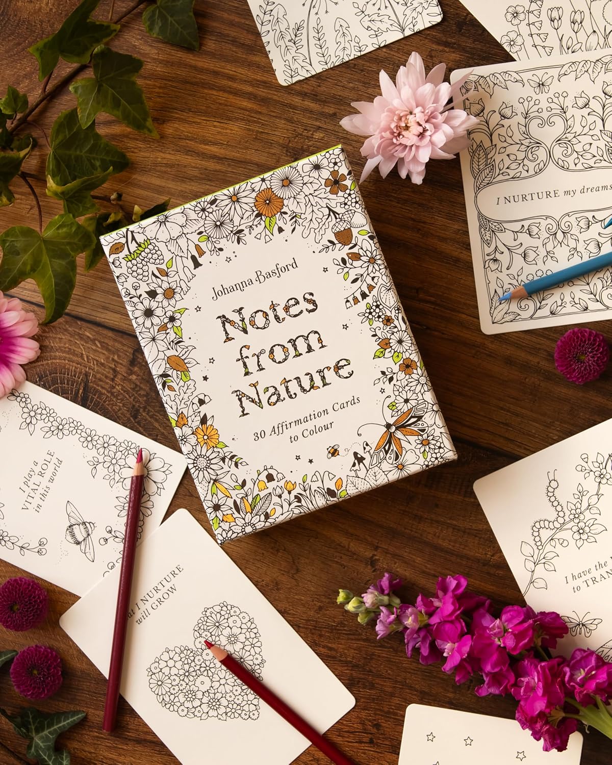 Johanna Basford's Notes From Nature by Johanna Basford
