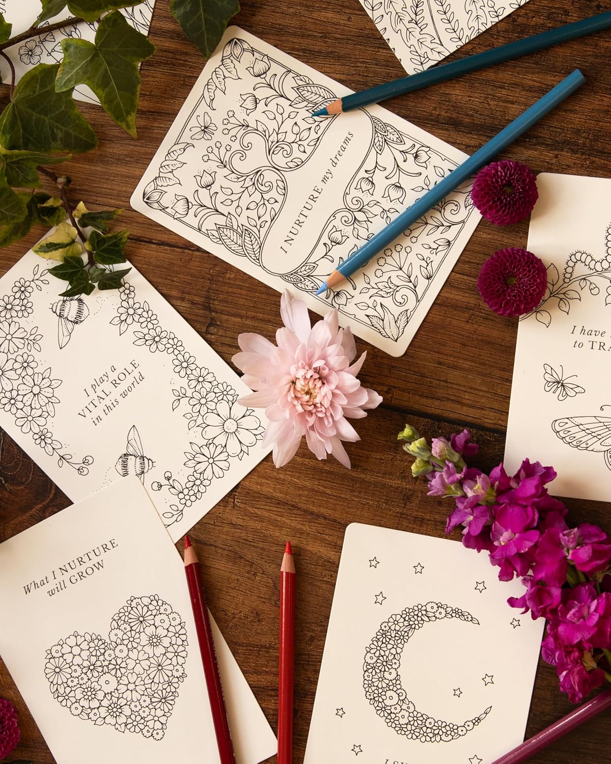 Johanna Basford's Notes From Nature by Johanna Basford